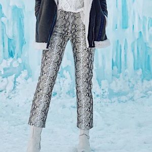 Wild honey snake print pants